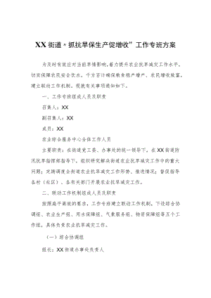 XX街道“抓抗旱保生产促增收”工作专班方案.docx