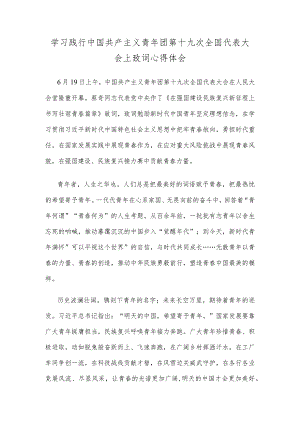 学习践行中国共产主义青年团第十九次全国代表大会上致词心得体会.docx