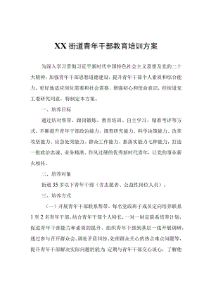 XX街道青年干部教育培训方案.docx