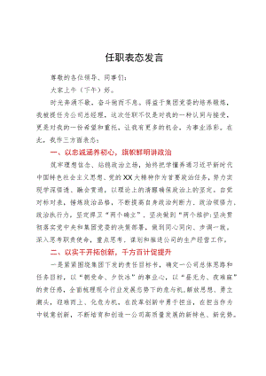 公司总经理任职表态发言.docx