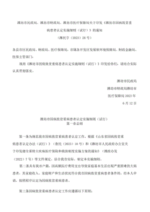 潍坊市民政局、潍坊市财政局、潍坊市医疗保障局关于印发《潍坊市因病致贫重病患者认定实施细则(试行)》的通知.docx