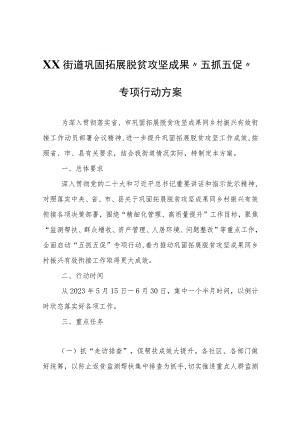 XX街道巩固拓展脱贫攻坚成果“五抓五促”专项行动方案.docx