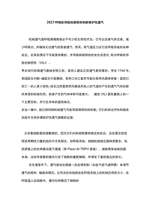 2023呼吸机导致的肺损伤和肺保护性通气.docx