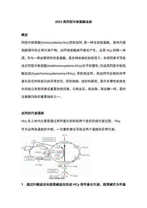 2023高同型半胱氨酸血症.docx