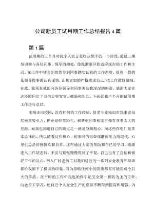 公司新员工试用期工作总结报告4篇.docx