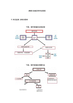 2023急重症常用流程图.docx