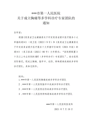 1.多学科诊疗专家团队20210715.docx