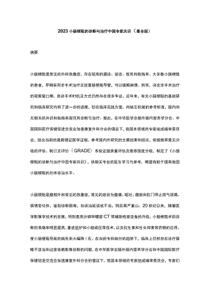 2023小肠梗阻的诊断与治疗中国专家共识（最全版）.docx