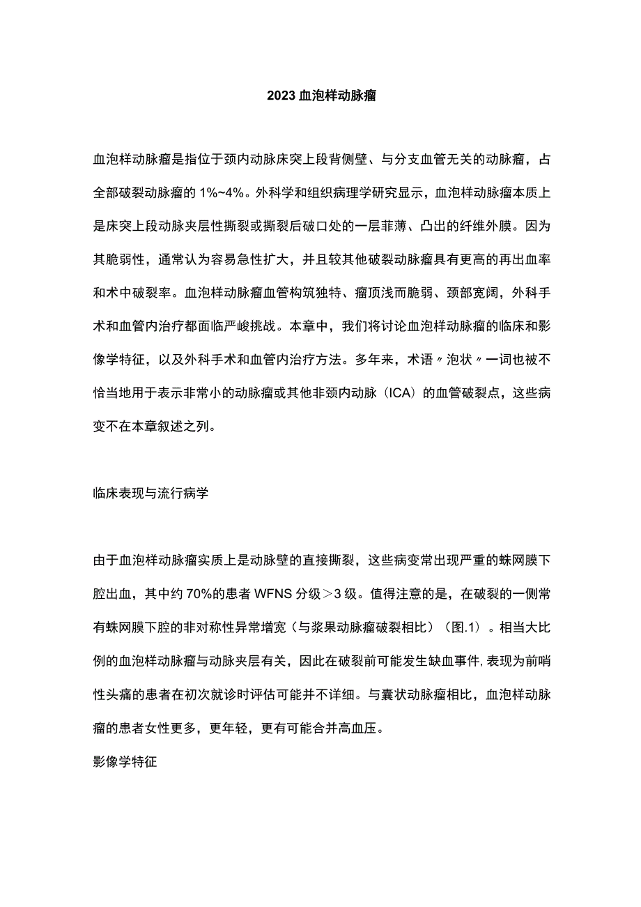 2023血泡样动脉瘤.docx_第1页