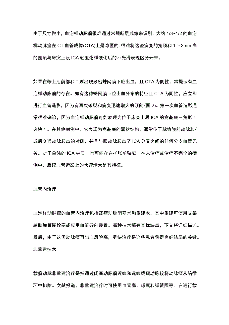 2023血泡样动脉瘤.docx_第2页