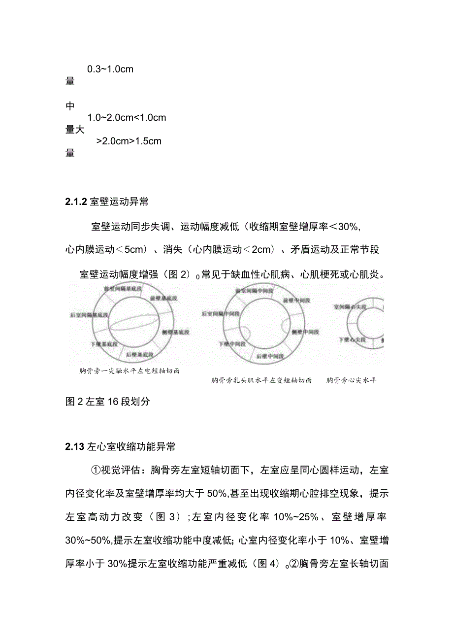 2023床旁超声在急危重症临床应用的专家共识（完整版）.docx_第3页