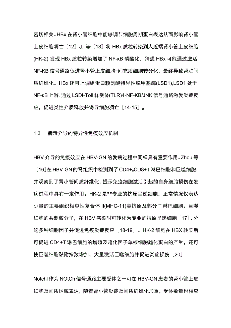 2023年HBV相关肾小球肾炎的研究进展.docx_第3页