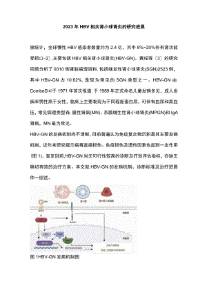 2023年HBV相关肾小球肾炎的研究进展.docx