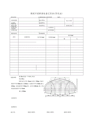 隧道开挖断面检查记录表(导坑法).docx