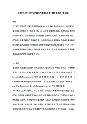 2023年CT引导下热消融治疗原发性肝癌中国专家共识（最全版）.docx