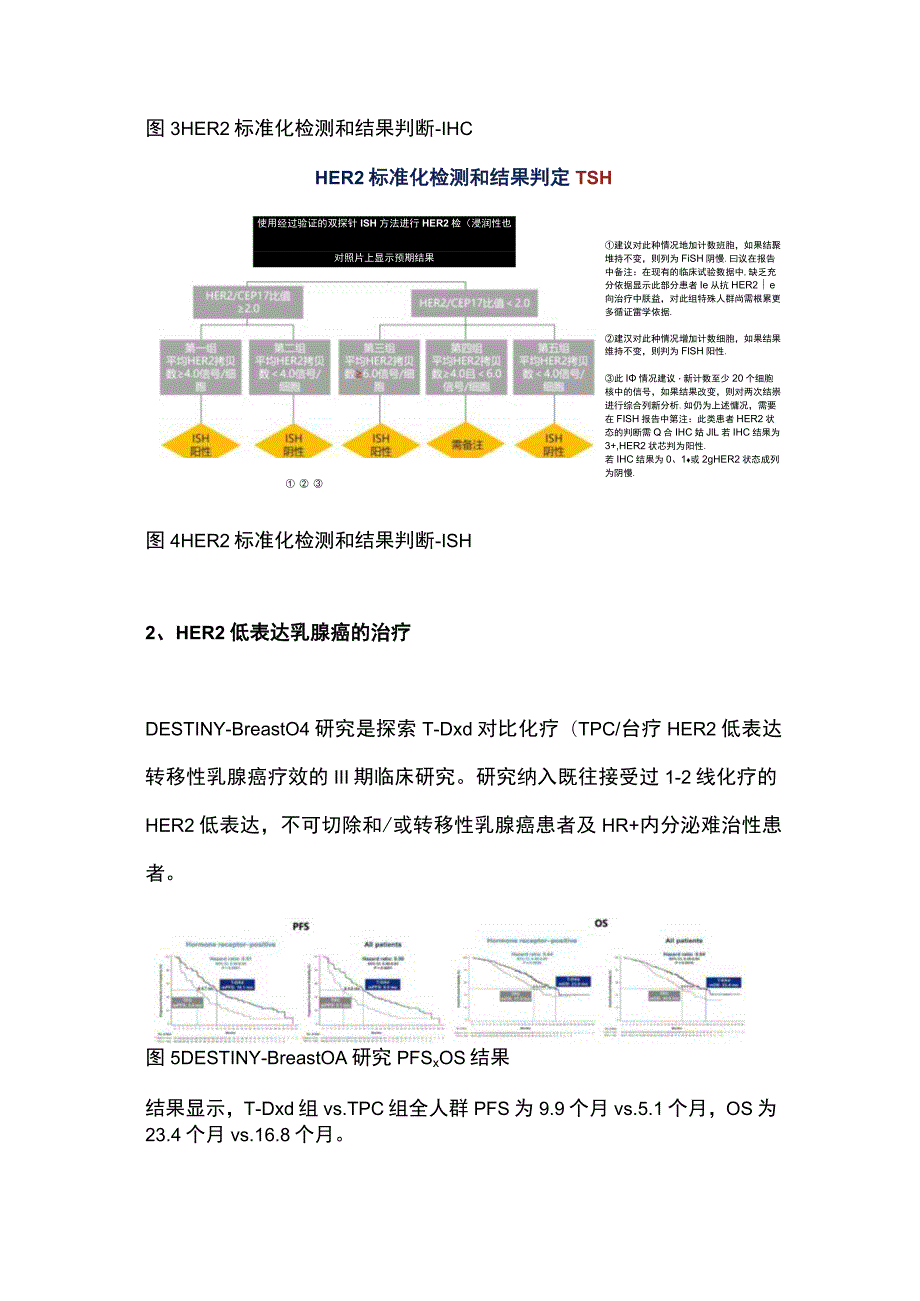 2023年HER2+ 乳腺癌治疗中国专家共识推荐意见.docx_第3页