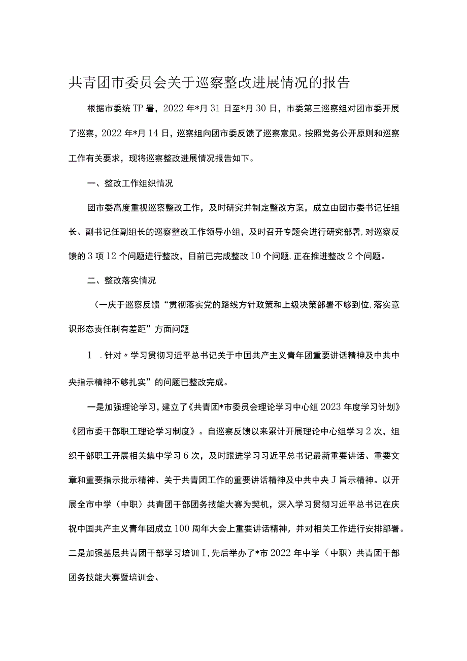 共青团市委员会关于巡察整改进展情况的报告.docx_第1页