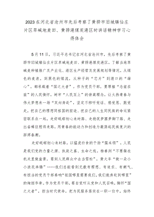 2023在河北省沧州市先后考察了黄骅市旧城镇仙庄片区旱碱地麦田、黄骅港煤炭港区时讲话精神学习心得体会.docx