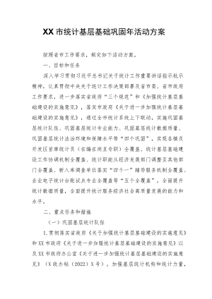 XX市统计基层基础巩固年活动方案.docx