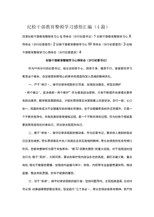 纪检干部教育整顿学习感悟汇编.docx