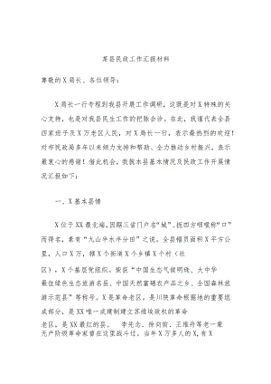 某县民政工作汇报材料.docx