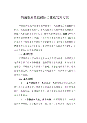 某某市应急救援队伍建设实施方案.docx