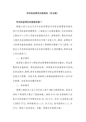 专项资金情况自查报告(共五篇).docx