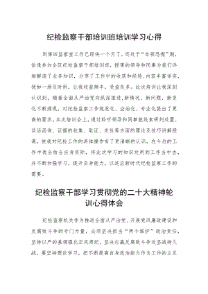 2023纪检监察干部培训班培训学习心得最新版3篇.docx