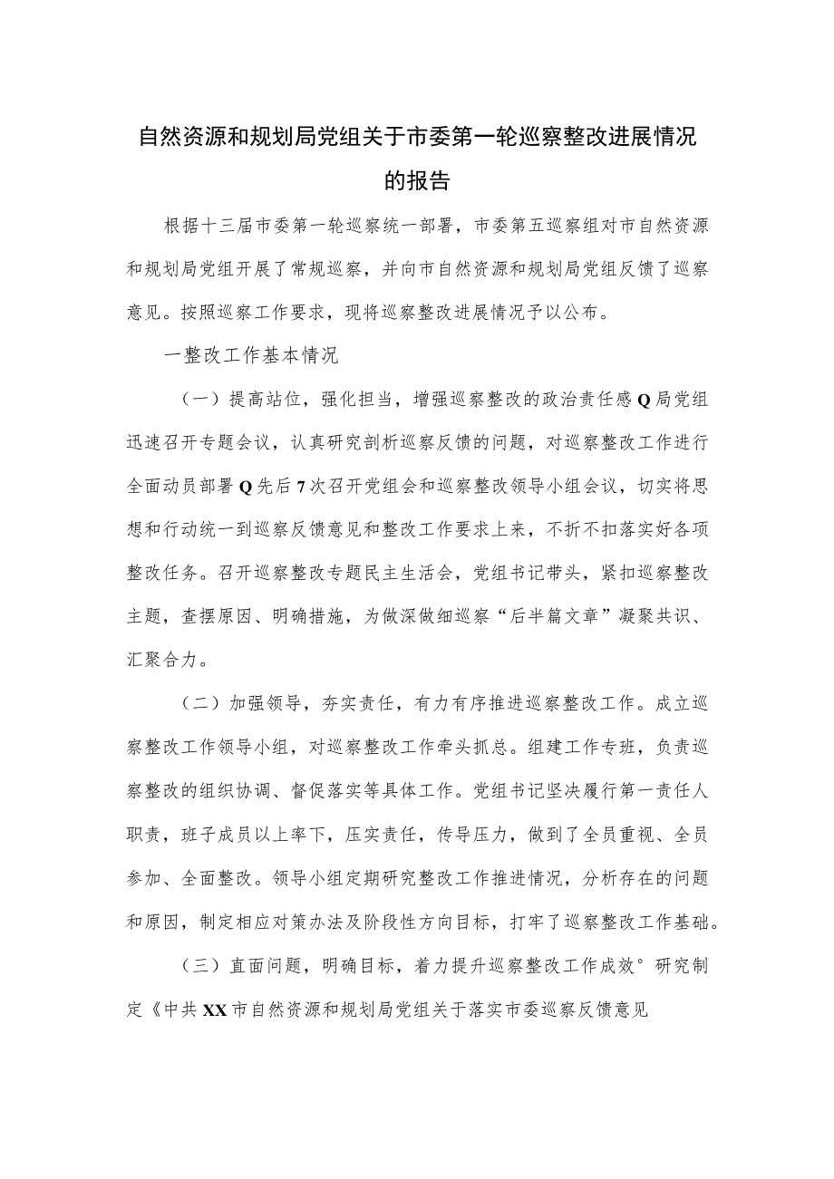 自然资源和规划局党组关于市委第一轮巡察整改进展情况的报告.docx_第1页