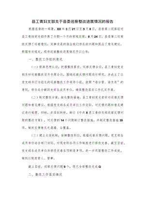 县工青妇支部关于县委巡察整改进展情况的报告.docx