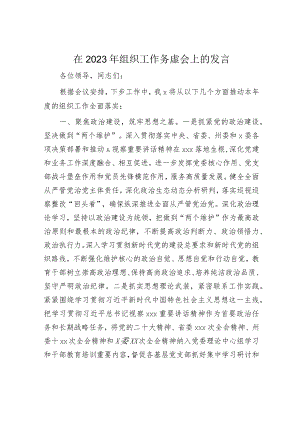 在2023年组织工作务虚会上的发言.docx