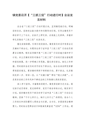 镇党委召开【“三抓三促”行动进行时】会议发言材料（3篇）.docx