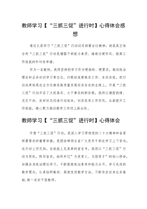 （共三篇）教师学习【“三抓三促”进行时】心得体会感想.docx