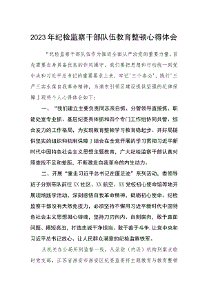 2023年纪检监察干部队伍教育整顿心得体会（参考范文三篇）.docx