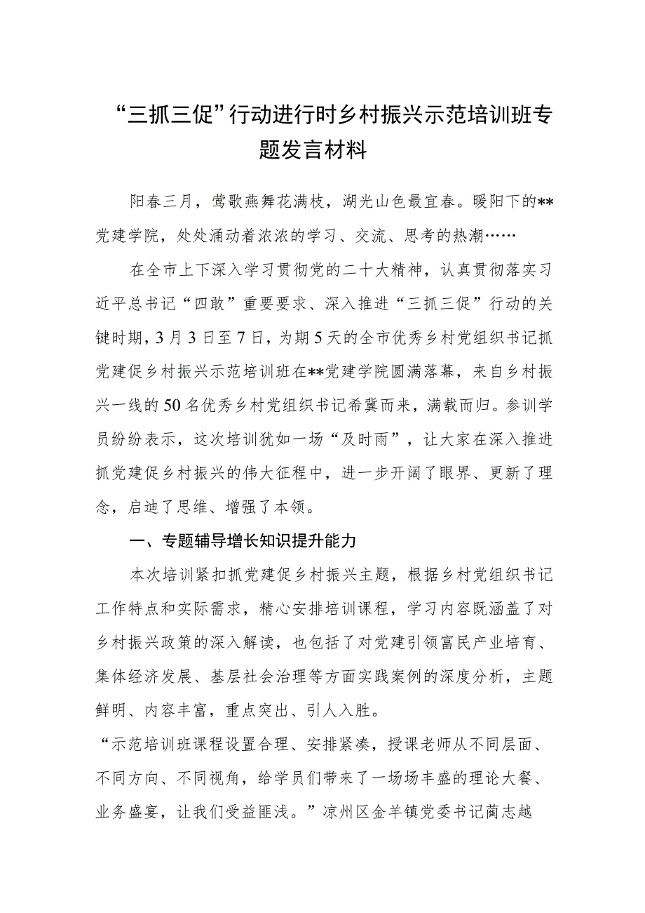 “三抓三促”行动进行时乡村振兴示范培训班专题发言材料（3篇）.docx_第1页