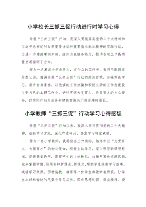 （共三篇）小学校长三抓三促行动进行时学习心得.docx