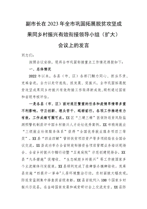 副市长在2023年全市巩固拓展脱贫攻坚成果同乡村振兴有效衔接领导小组（扩大）会议上的发言.docx