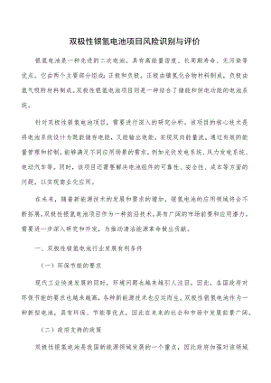 双极性镍氢电池项目风险识别与评价.docx