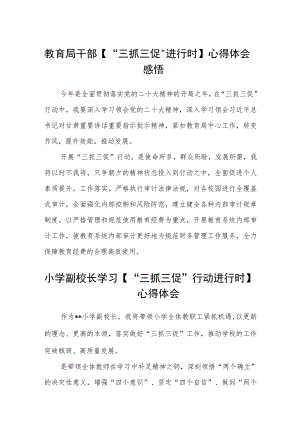 （共三篇）教育局干部【“三抓三促”进行时】心得体会感悟.docx