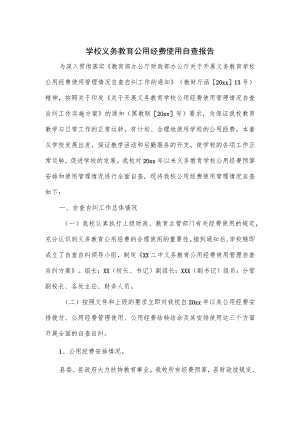 学校义务教育公用经费使用自查报告.docx