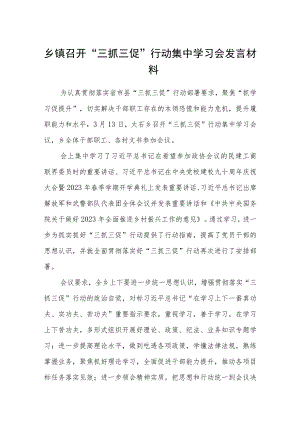 乡镇召开“三抓三促”行动集中学习会发言材料（3篇）.docx