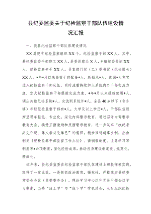 县纪委监委关于纪检监察干部队伍建设情况汇报.docx