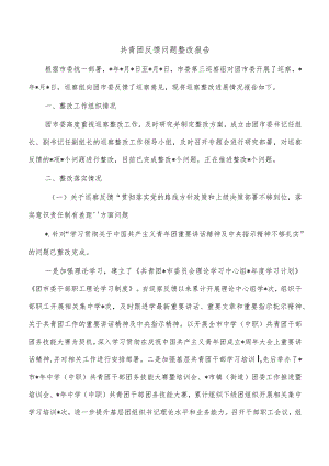 共青团反馈问题整改报告.docx