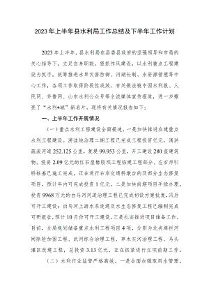 2023年上半年县水利局工作总结及下半年工作计划.docx