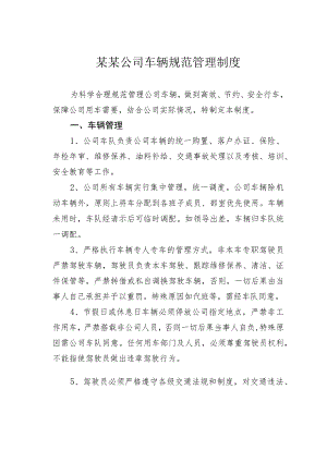 某某公司车辆规范管理制度.docx