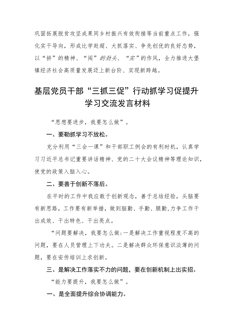 【共3篇】镇党支部召开【“三抓三促”行动进行时】会议精神发言材料.docx_第2页