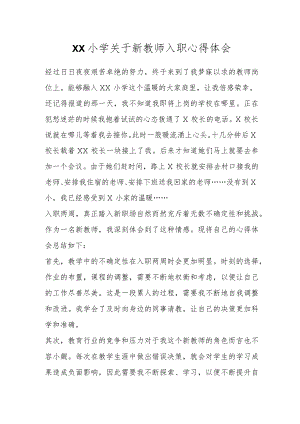 XX小学关于新教师入职心得体会.docx