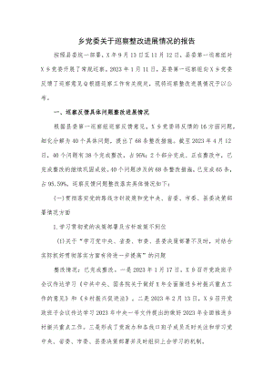 乡党委关于巡察整改进展情况的报告.docx