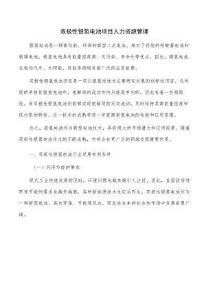 双极性镍氢电池项目人力资源管理.docx