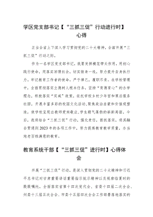 （共三篇）学区党支部书记【“三抓三促”行动进行时】心得.docx